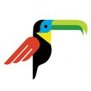 Rainforest Carwash and Oil Change company logo