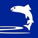 Test Valley Borough Council company logo