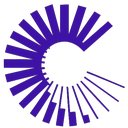 Critical Loop company logo