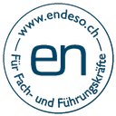 endeso GmbH company logo