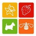 FLORIDA CENTER FOR ALLERGY AND ASTHMA CARE company logo