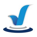 Choice Consulting Associates company logo