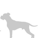 Broadway Veterinary Group company logo