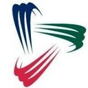 Synergy Employment Group, Inc. company logo