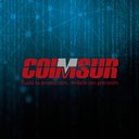 Coimsur Sa de CV company logo