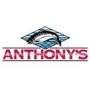 MAD ANTHONY'S INC company logo