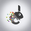 Digital Chamäleons company logo