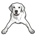 Tucker Pup's Pet Resort company logo