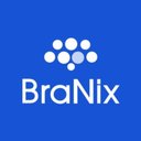 Branix company logo
