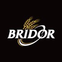 Bridor USA, Inc. company logo