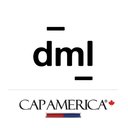 DML company logo