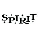 Spirit Halloween company logo