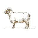 The Lamb Inn company logo