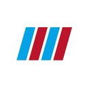 Allen Motor Group company logo