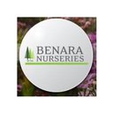 Benara Nurseries company logo