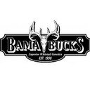 Bama Bucks company logo