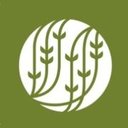 Palais des Thés company logo