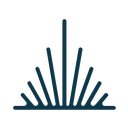 Fortify company logo