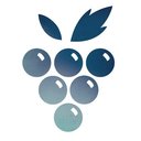 Soft As A Grape company logo