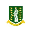 Government of the Virgin Islands company logo