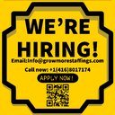 Blue Line Staffing Agency company logo