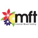 Mexican Flower company logo