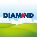 Diamond Bus company logo