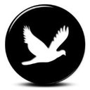 Up and Out, Inc. company logo
