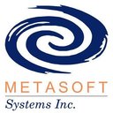 Metasoft Systems Inc. company logo