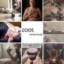 Root Whole Body company logo