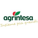 Agrintesa company logo