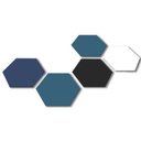 Boson Health company logo