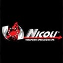 Nicoli Trasporti Spedizioni Spa company logo