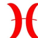 OFFSHORE HCL GLOBAL SYSTEMS INDIA PRIVATE LIMITED company logo