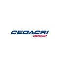C GLOBAL company logo