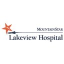 Lakeview Hospital company logo