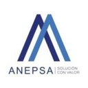 Grupo Anepsa company logo