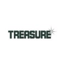 Treasure Transport company logo