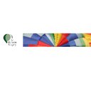 Air Balloon Surgery company logo
