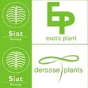 Deroose Plants company logo