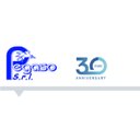 Pegaso srl company logo