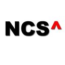 Nenosystems Consulting Services company logo