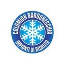 Colomion S.p.a. company logo