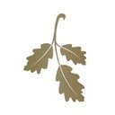 Oakmont Senior Living company logo