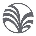 Regal Palms company logo