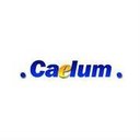 Caelum Research Corporation company logo