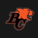 BC Lions company logo