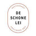 De schone lei company logo