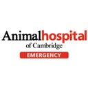 Animal Hospital of Cambridge company logo
