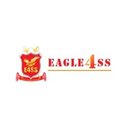 Eagle 4 Security Solutions company logo